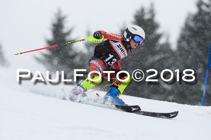 4. Ziener Cup WF, 25.02.2018