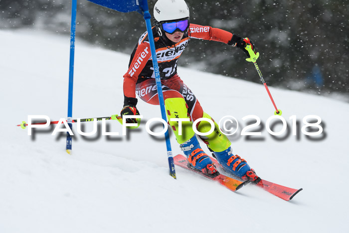 4. Ziener Cup WF, 25.02.2018