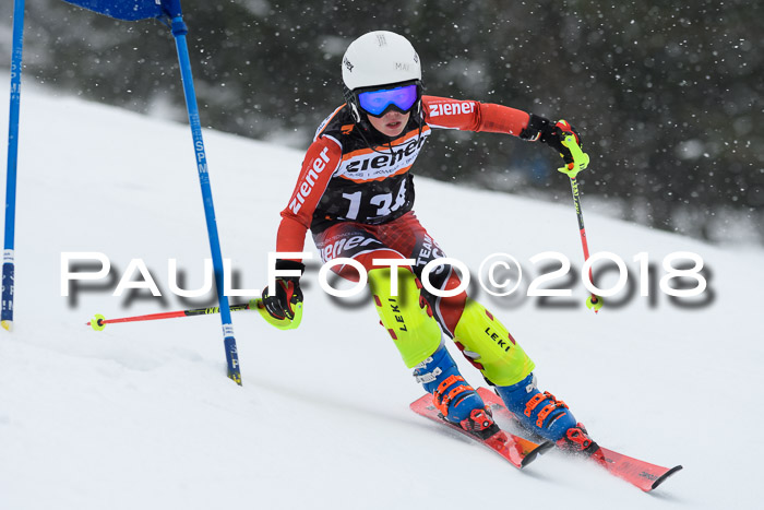 4. Ziener Cup WF, 25.02.2018