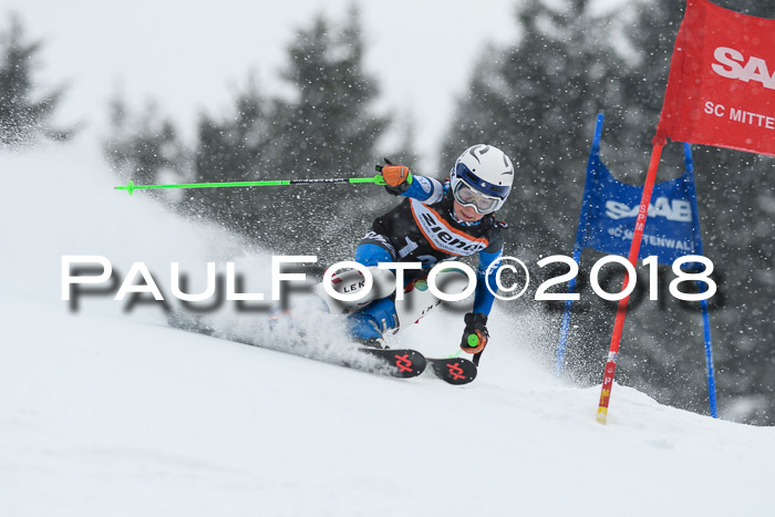 4. Ziener Cup WF, 25.02.2018