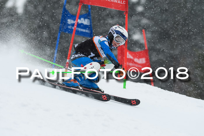 4. Ziener Cup WF, 25.02.2018