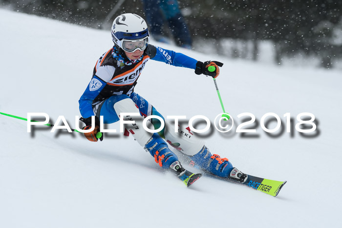 4. Ziener Cup WF, 25.02.2018