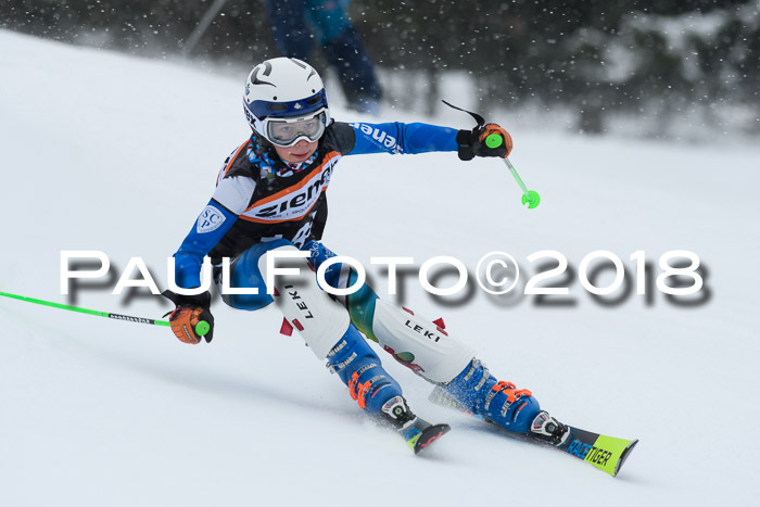 4. Ziener Cup WF, 25.02.2018