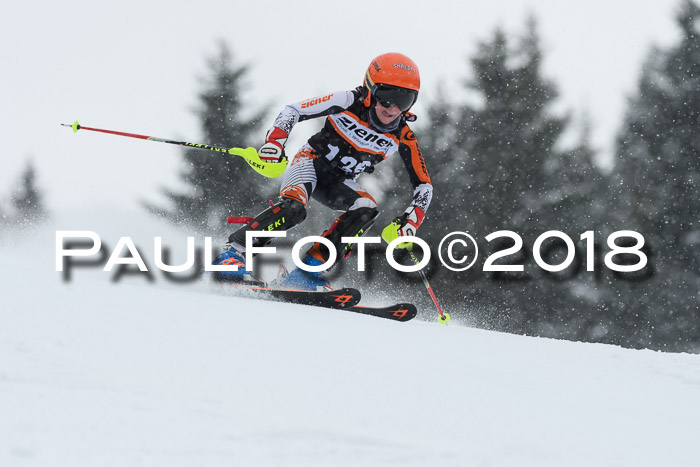 4. Ziener Cup WF, 25.02.2018