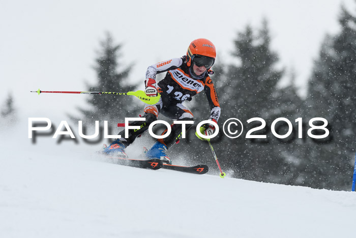 4. Ziener Cup WF, 25.02.2018