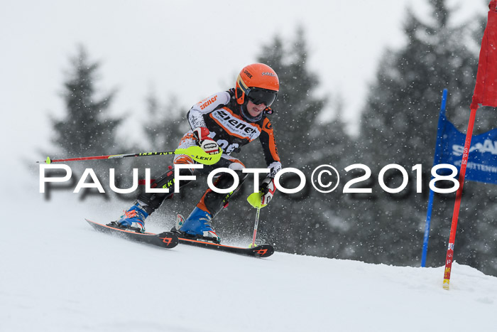 4. Ziener Cup WF, 25.02.2018