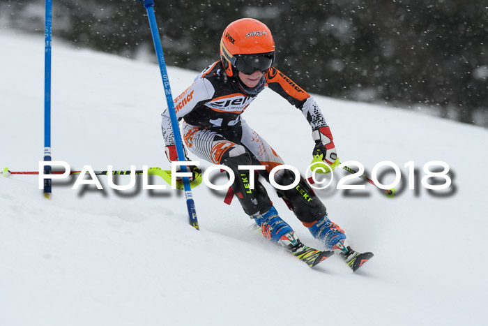 4. Ziener Cup WF, 25.02.2018