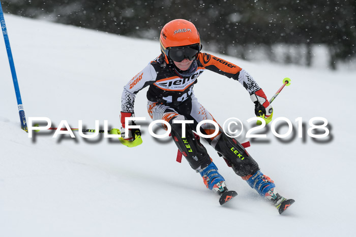 4. Ziener Cup WF, 25.02.2018