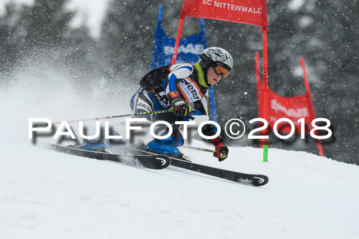 4. Ziener Cup WF, 25.02.2018