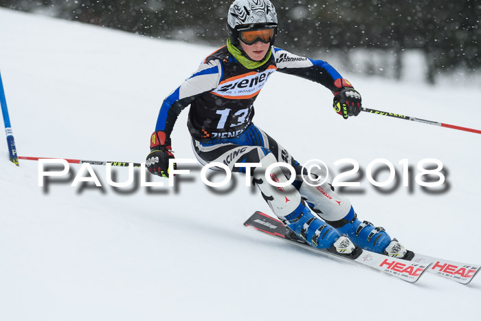 4. Ziener Cup WF, 25.02.2018