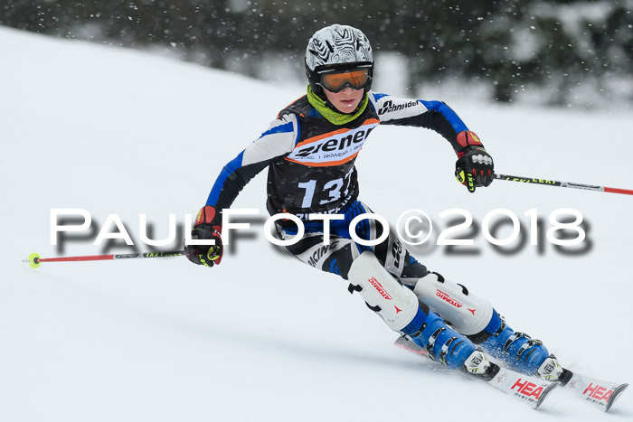 4. Ziener Cup WF, 25.02.2018