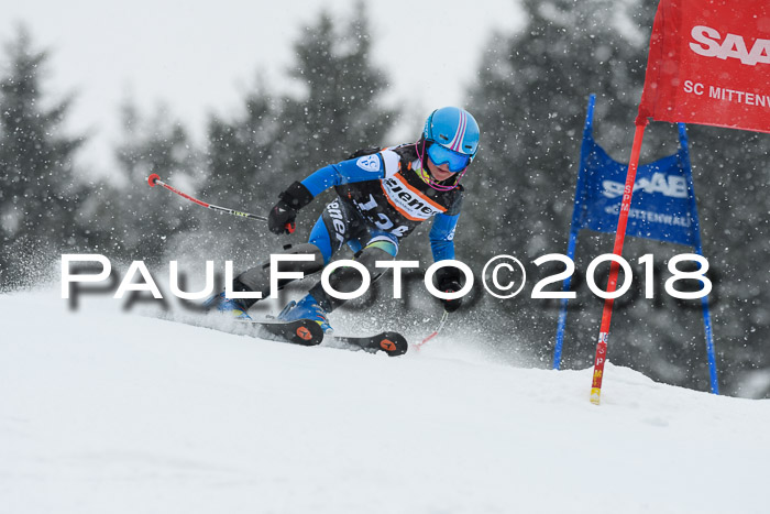 4. Ziener Cup WF, 25.02.2018