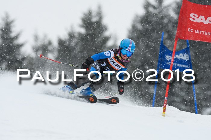 4. Ziener Cup WF, 25.02.2018