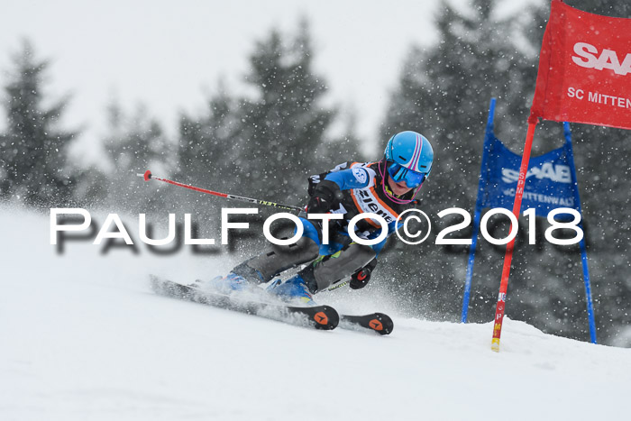 4. Ziener Cup WF, 25.02.2018