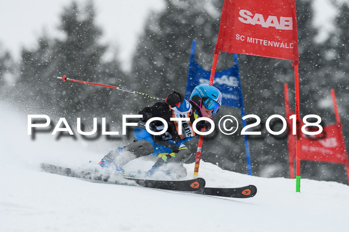 4. Ziener Cup WF, 25.02.2018