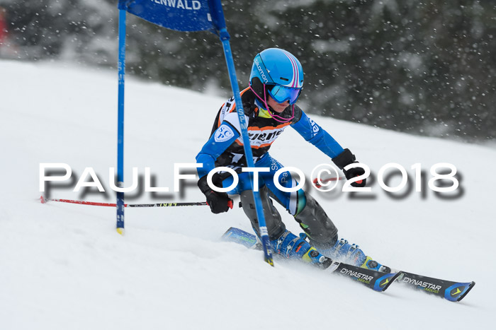 4. Ziener Cup WF, 25.02.2018