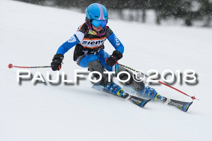 4. Ziener Cup WF, 25.02.2018