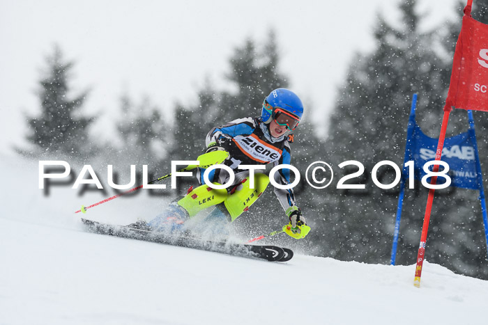 4. Ziener Cup WF, 25.02.2018