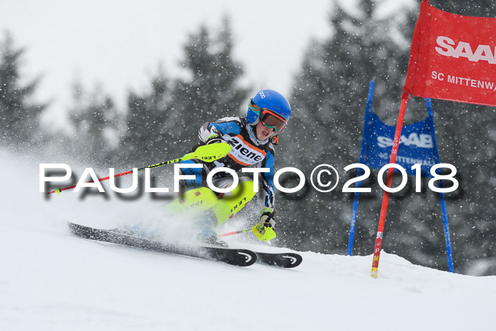 4. Ziener Cup WF, 25.02.2018