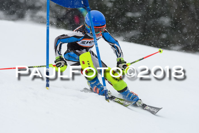 4. Ziener Cup WF, 25.02.2018