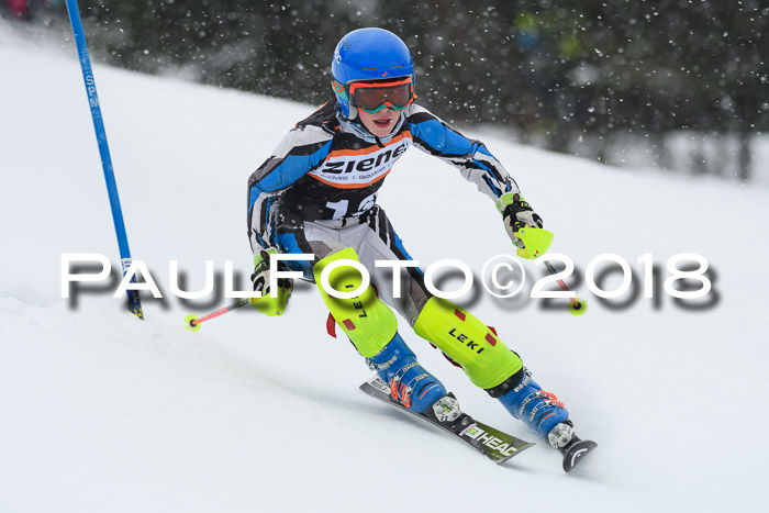 4. Ziener Cup WF, 25.02.2018