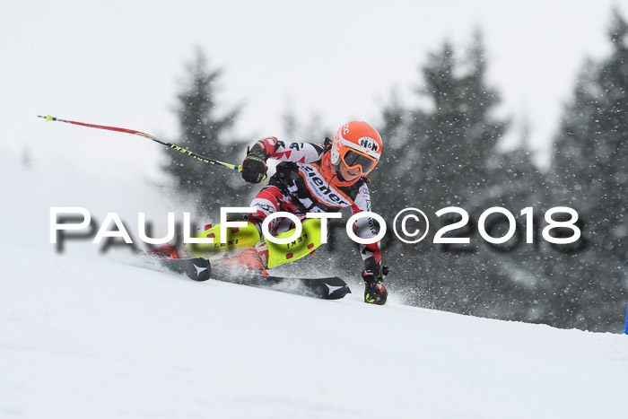 4. Ziener Cup WF, 25.02.2018