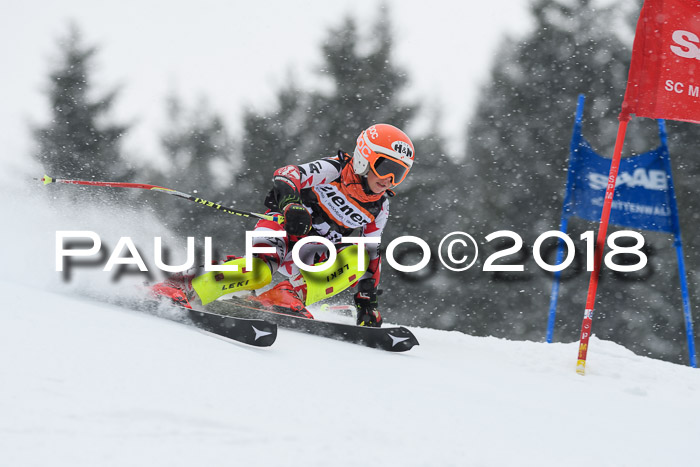 4. Ziener Cup WF, 25.02.2018