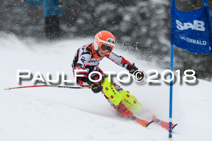 4. Ziener Cup WF, 25.02.2018