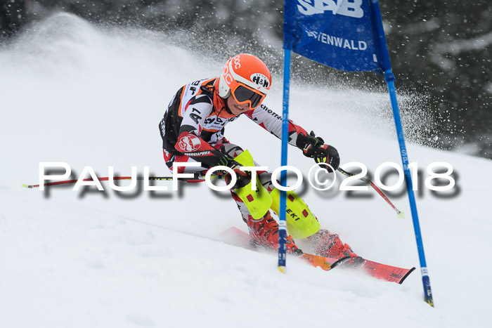 4. Ziener Cup WF, 25.02.2018