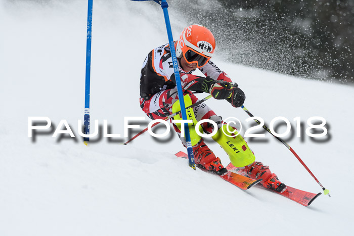 4. Ziener Cup WF, 25.02.2018
