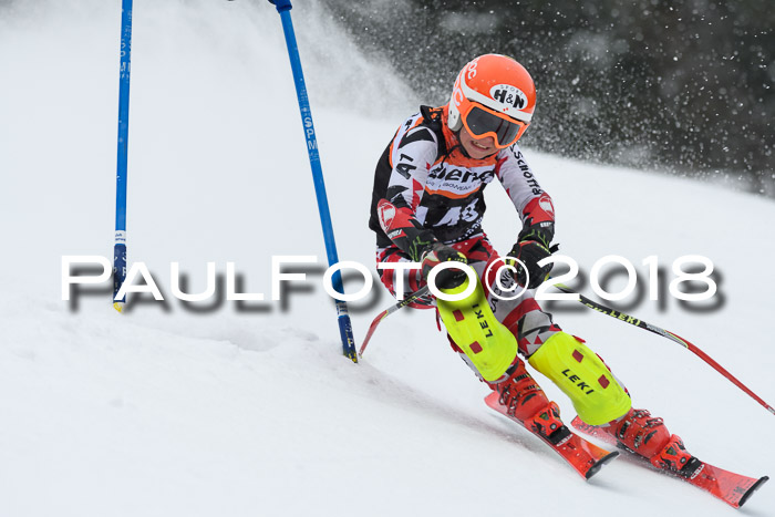 4. Ziener Cup WF, 25.02.2018