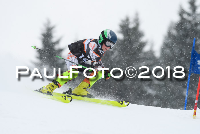 4. Ziener Cup WF, 25.02.2018