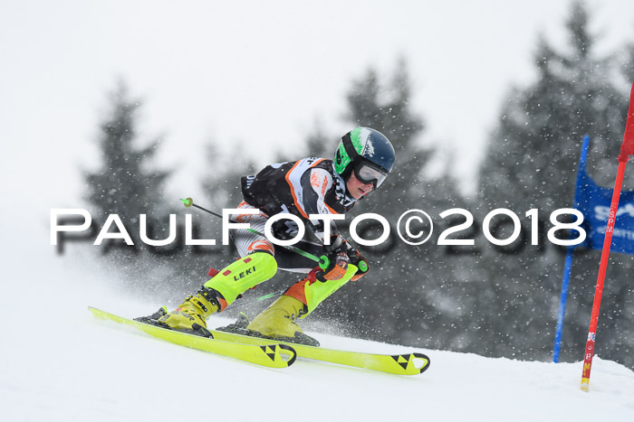 4. Ziener Cup WF, 25.02.2018