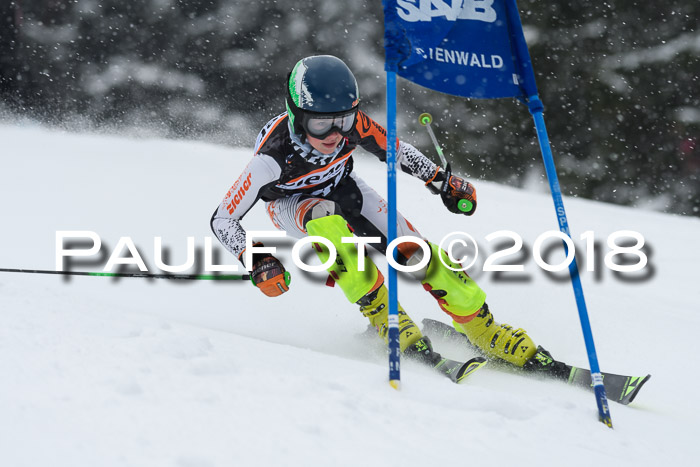 4. Ziener Cup WF, 25.02.2018