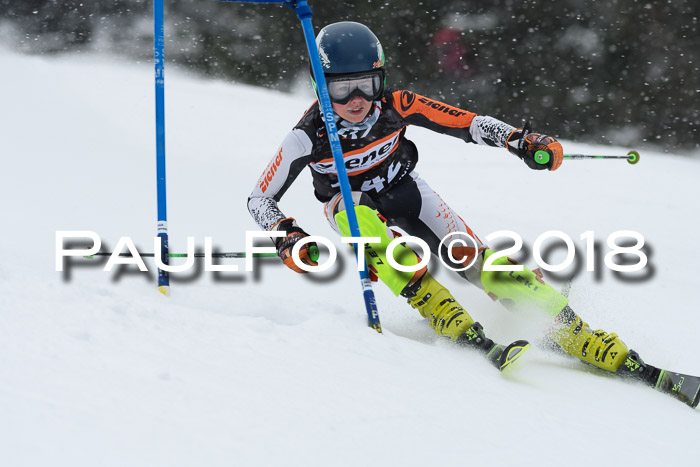 4. Ziener Cup WF, 25.02.2018