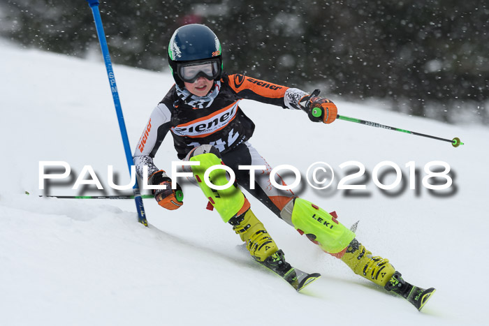 4. Ziener Cup WF, 25.02.2018