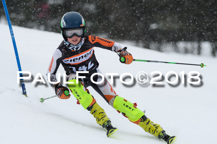 4. Ziener Cup WF, 25.02.2018