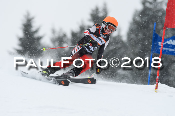 4. Ziener Cup WF, 25.02.2018