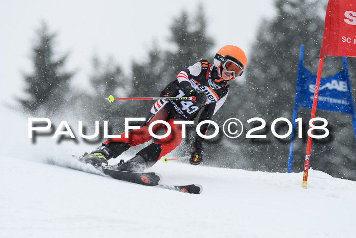 4. Ziener Cup WF, 25.02.2018