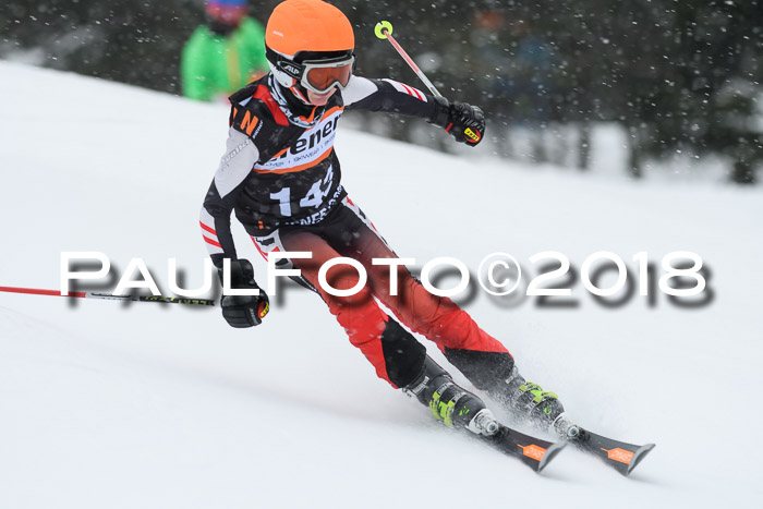4. Ziener Cup WF, 25.02.2018
