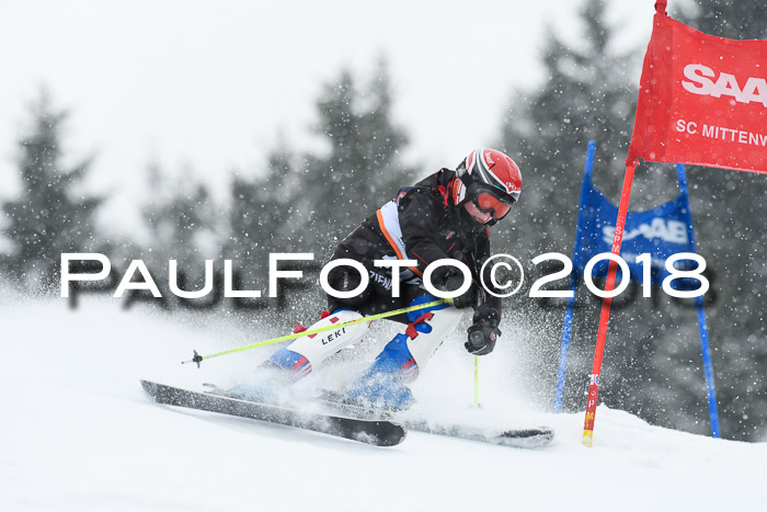 4. Ziener Cup WF, 25.02.2018