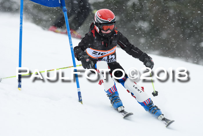 4. Ziener Cup WF, 25.02.2018