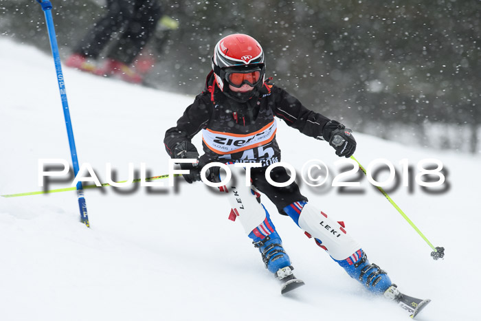 4. Ziener Cup WF, 25.02.2018