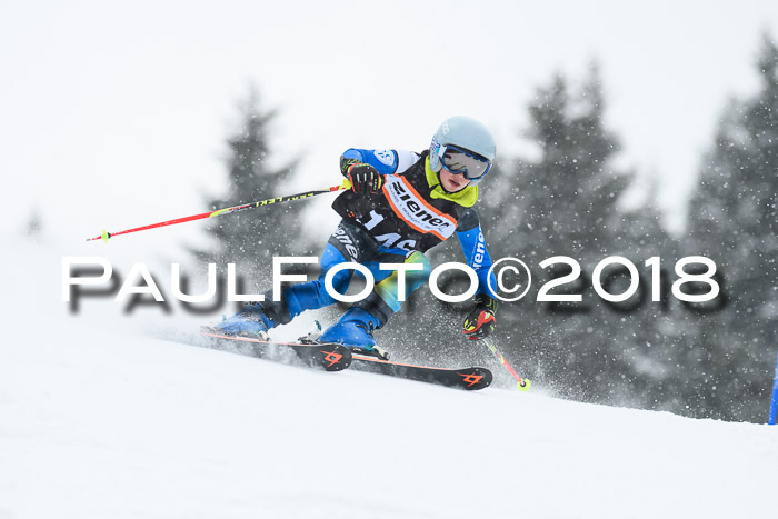 4. Ziener Cup WF, 25.02.2018
