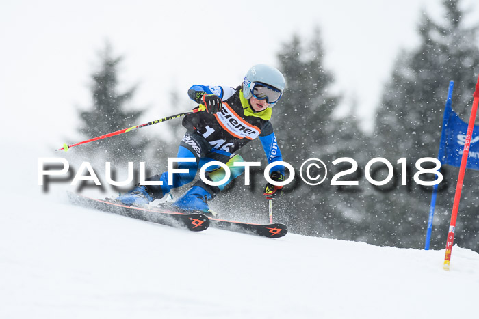 4. Ziener Cup WF, 25.02.2018