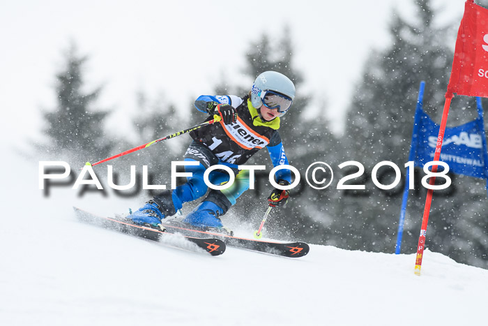4. Ziener Cup WF, 25.02.2018
