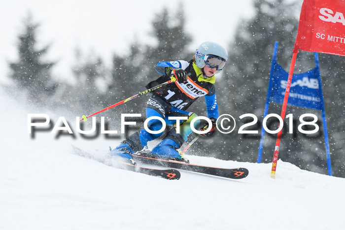 4. Ziener Cup WF, 25.02.2018
