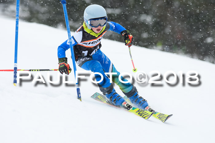 4. Ziener Cup WF, 25.02.2018