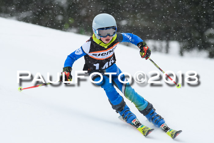4. Ziener Cup WF, 25.02.2018