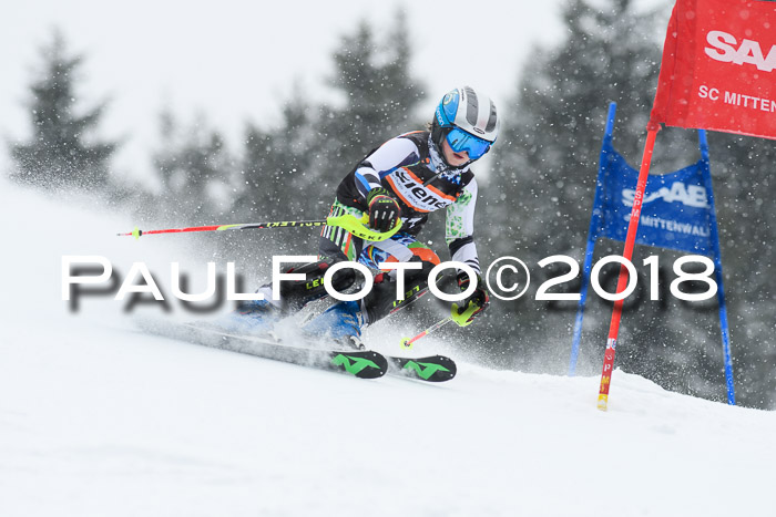 4. Ziener Cup WF, 25.02.2018